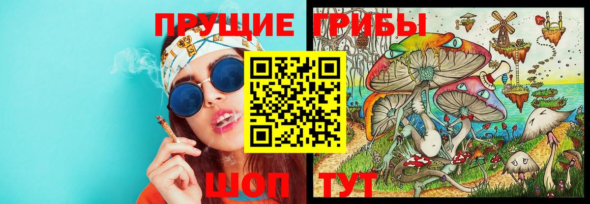 Псилоцибиновые грибы мицелий Шатура