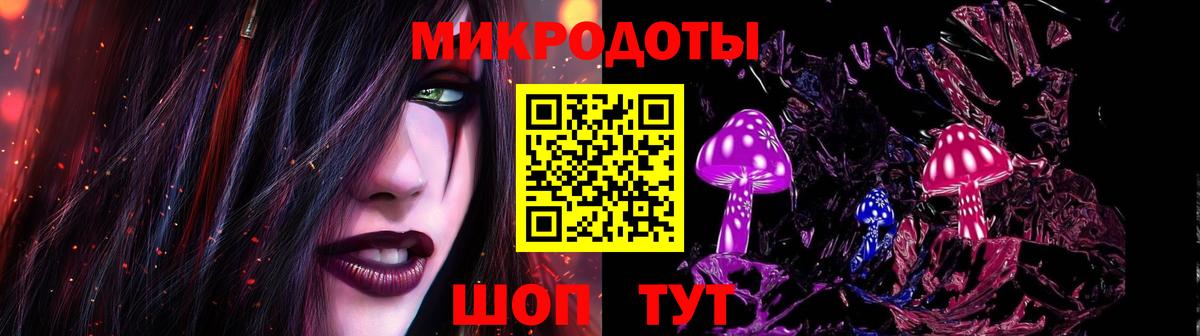 Галлюциногенные грибы Psilocybine cubensis  Галлюциногенные грибы прущие грибы  Вход с VPN  Шатура 