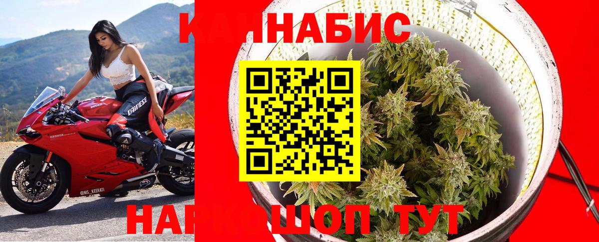 Шатура  Марихуана сатива  Бошки Шишки AK-47  Бошки Шишки OG Kush  Вход с VPN  Каннабис Bruce Banner 